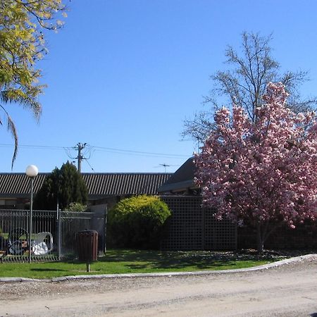 Belvoir Village Motel & Apartments Wodonga Eksteriør billede