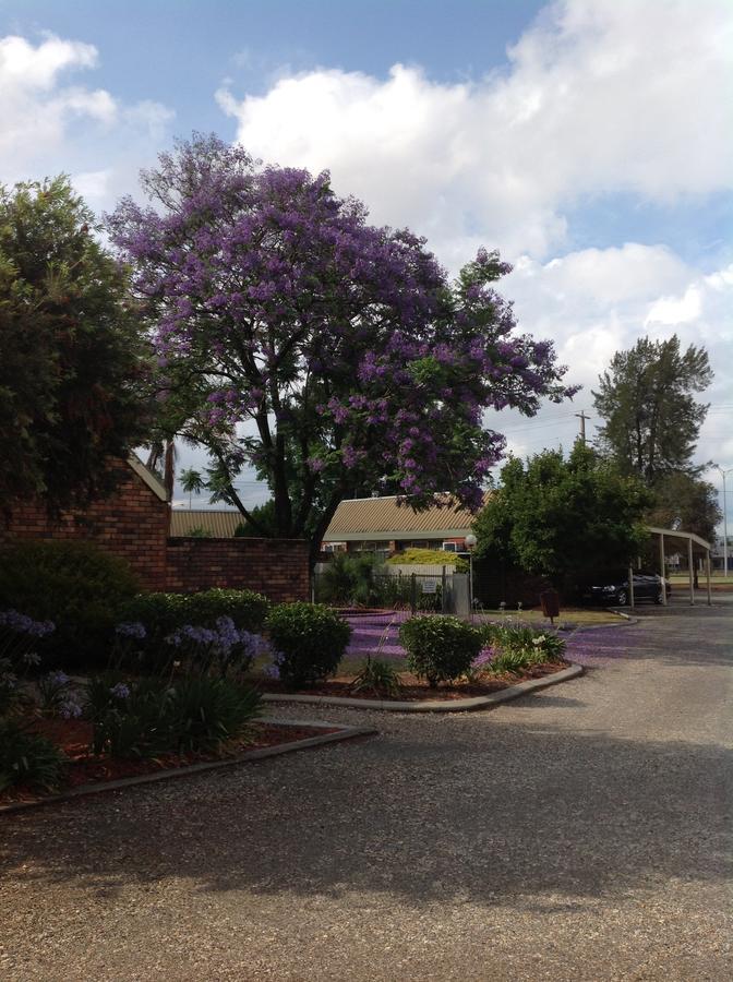 Belvoir Village Motel & Apartments Wodonga Eksteriør billede